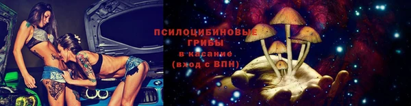 шишки Алзамай