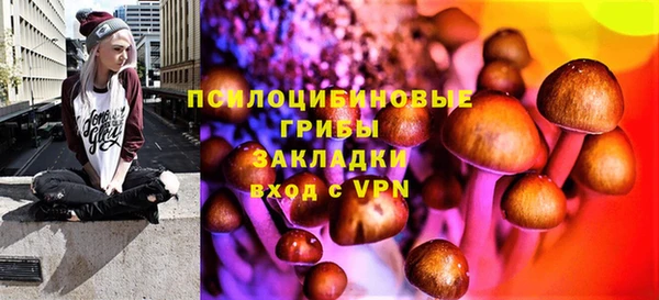 не бодяженный Абаза