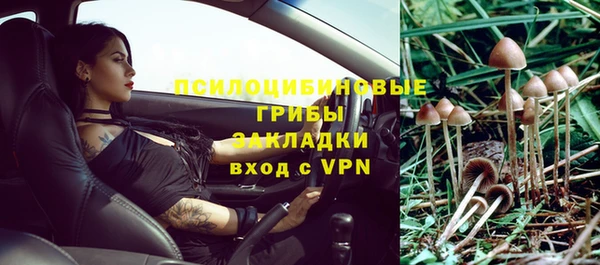 стафф Алексин