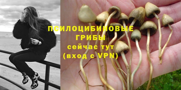 не бодяженный Абинск