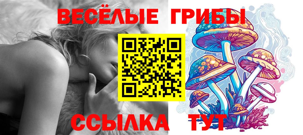 Галлюциногенные грибы Magic Shrooms Сызрань